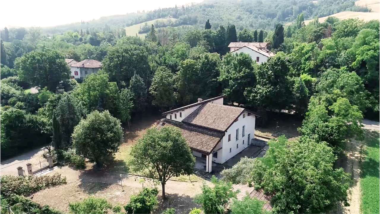 imm_6045-20240805105211-1280