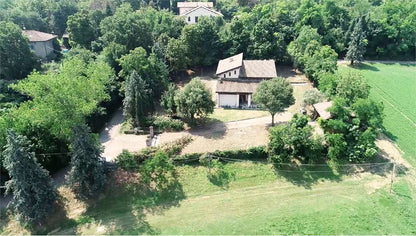 imm_6050-1280