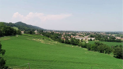 imm_6055-1280