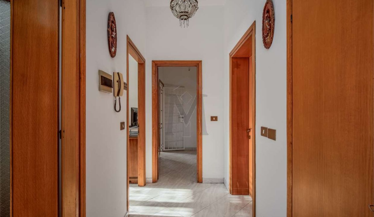 imm_39962-20250210180459-1280-