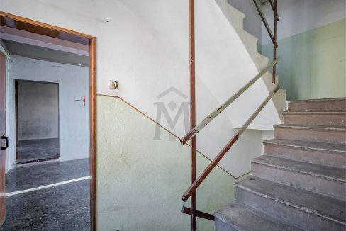 imm_40550-20250306154025-1280-