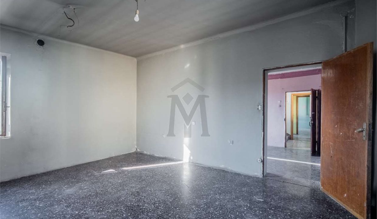 imm_40553-20250306154029-1280-