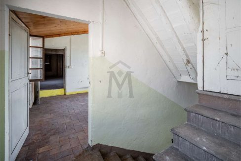 imm_40559-20250306154041-1280-