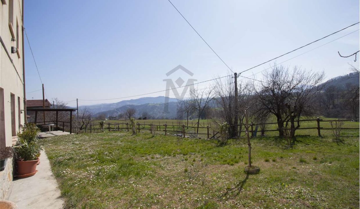 imm_40572-20250307175150-1280-