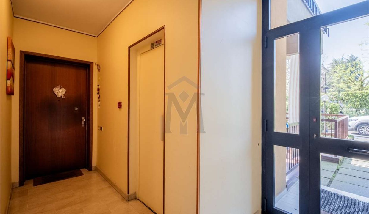 imm_41530-20250416165808-1280-