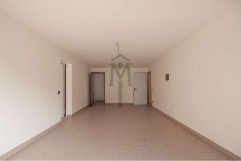 imm_41131-20250401104205-1280-