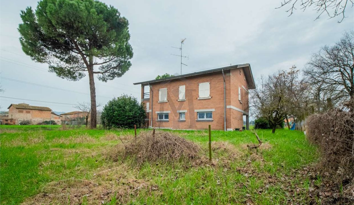 imm_41269-20250408094427-1280-