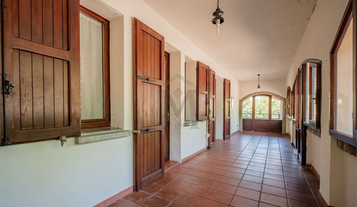 imm_42748-20250506190352-1280-