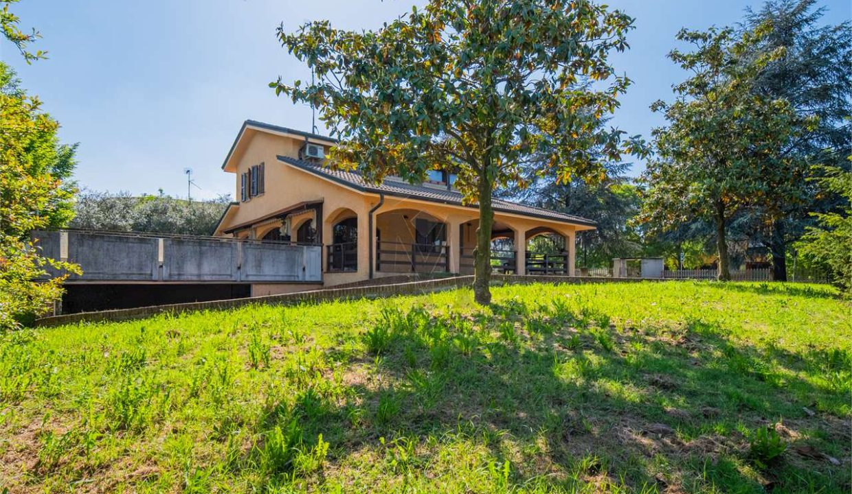 imm_42771-20250506191120-1280-