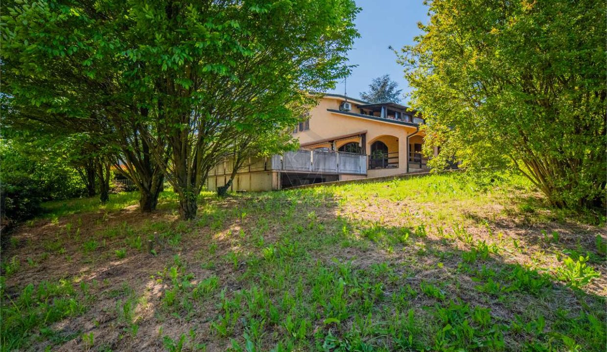 imm_42772-20250506191127-1280-