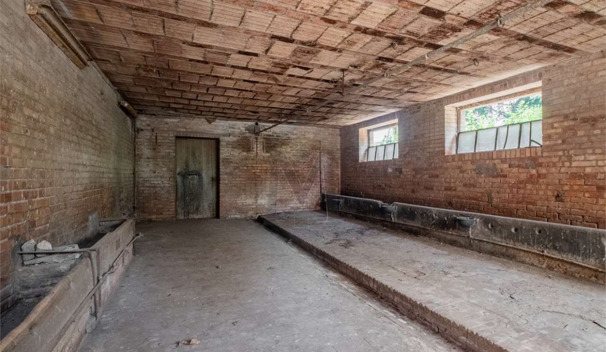 imm_43866-20250716174840-1280-