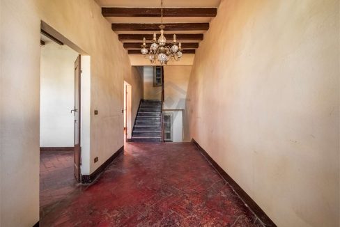 imm_43890-20250716173737-1280-