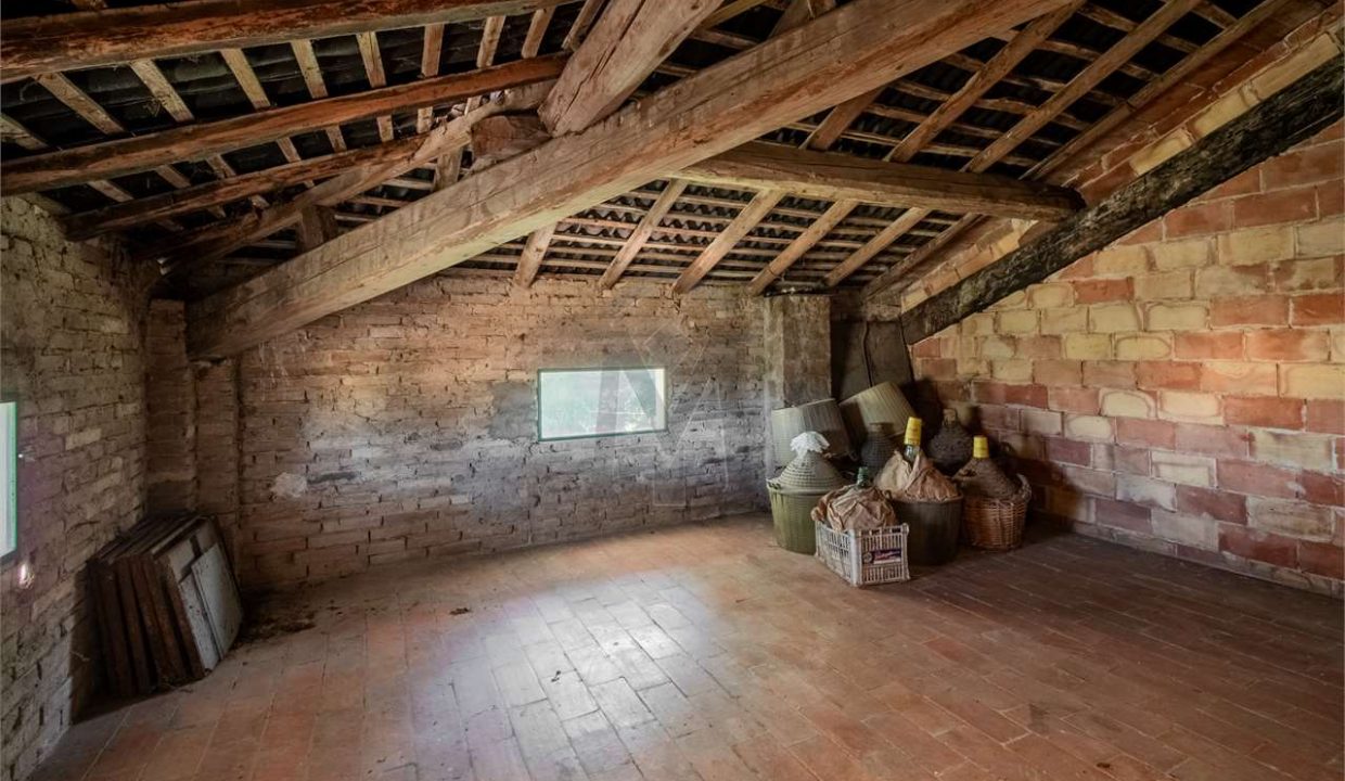 imm_43895-20250716174939-1280-