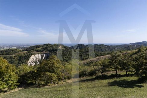 imm_45172-20250926175012-1280-
