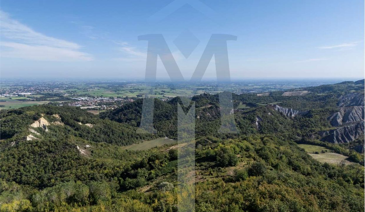 imm_45176-20250926175109-1280-