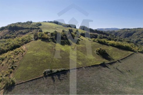 imm_45178-20250926174945-1280-