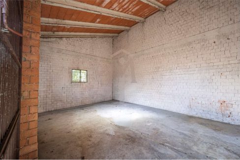 imm_45960-20251024102235-1280-