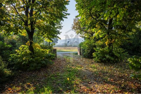 imm_45997-20251023112729-1280-