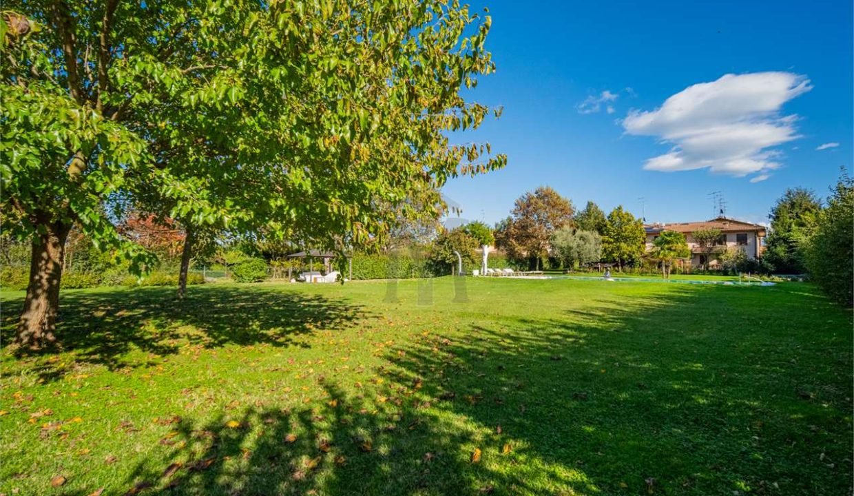 imm_38820-20241114174355-1280-