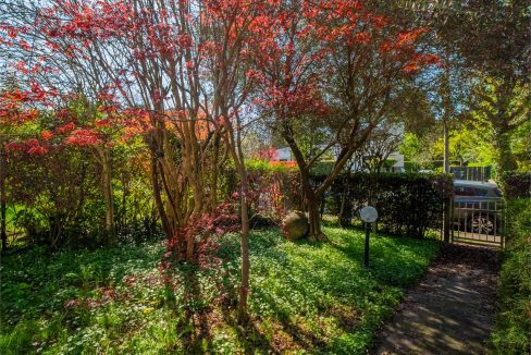 imm_41301-20250409174350-1280-