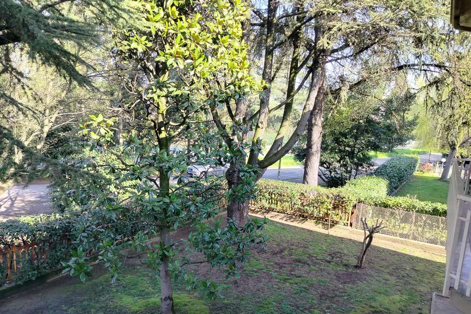 imm_41572-20250416180210-945-