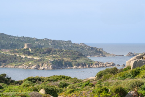 imm_43129-20250522121112-720-