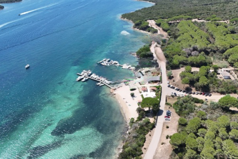 imm_44122-20250723160939-720-