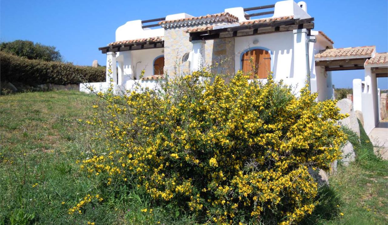 imm_44162-20250723185458-1280-