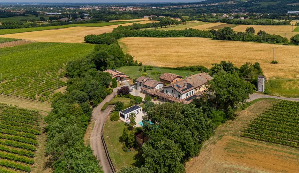 imm_44375-20250801150813-1280-