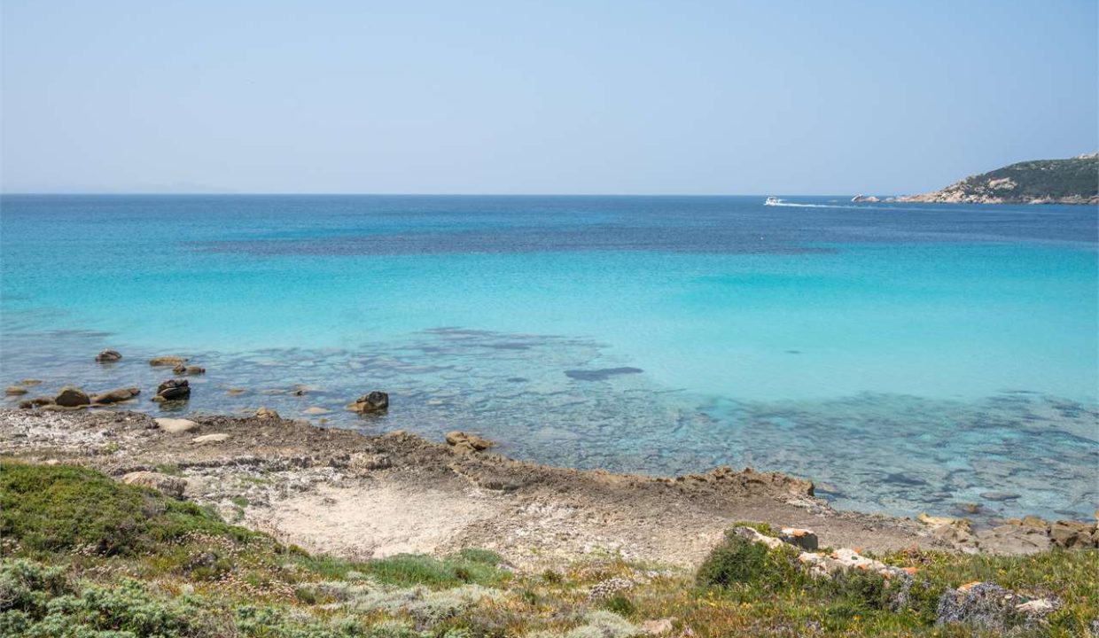 imm_44461-20250801170624-1280-