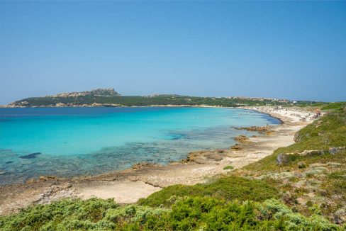 imm_44463-20250801170136-1280-