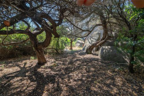 imm_44492-20250801165913-1280-