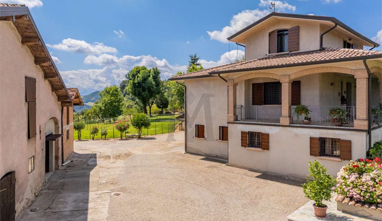 imm_44518-20250801173018-1280-