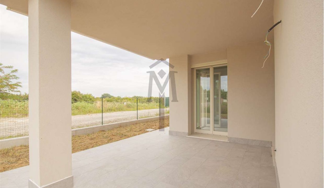 imm_44559-20250806182933-1280-