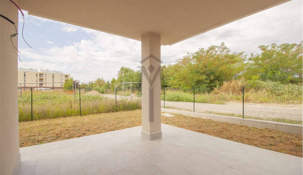 imm_44562-20250806182940-1280-