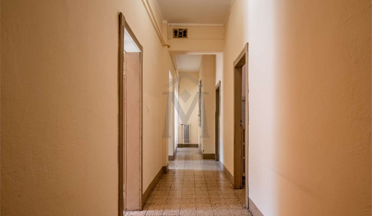 imm_44667-20251106122451-1280-