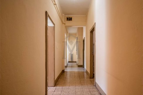 imm_44667-20251106122451-1280-