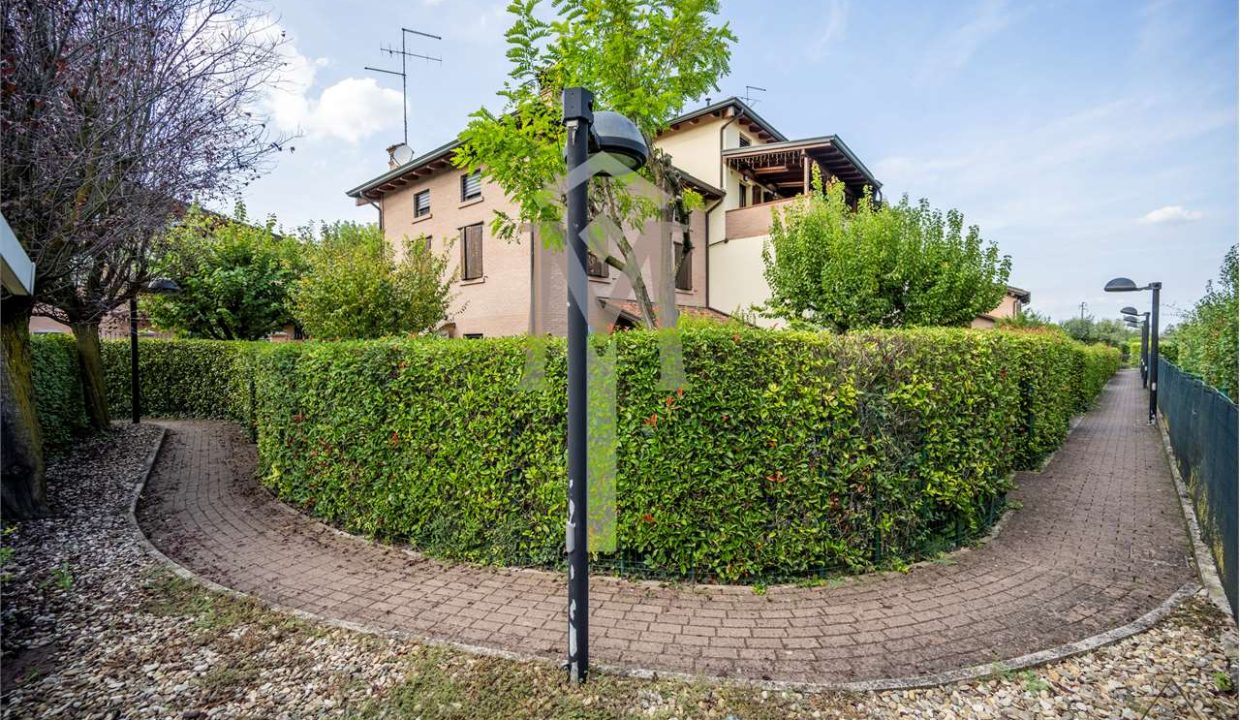 imm_44910-20250918184209-1280-