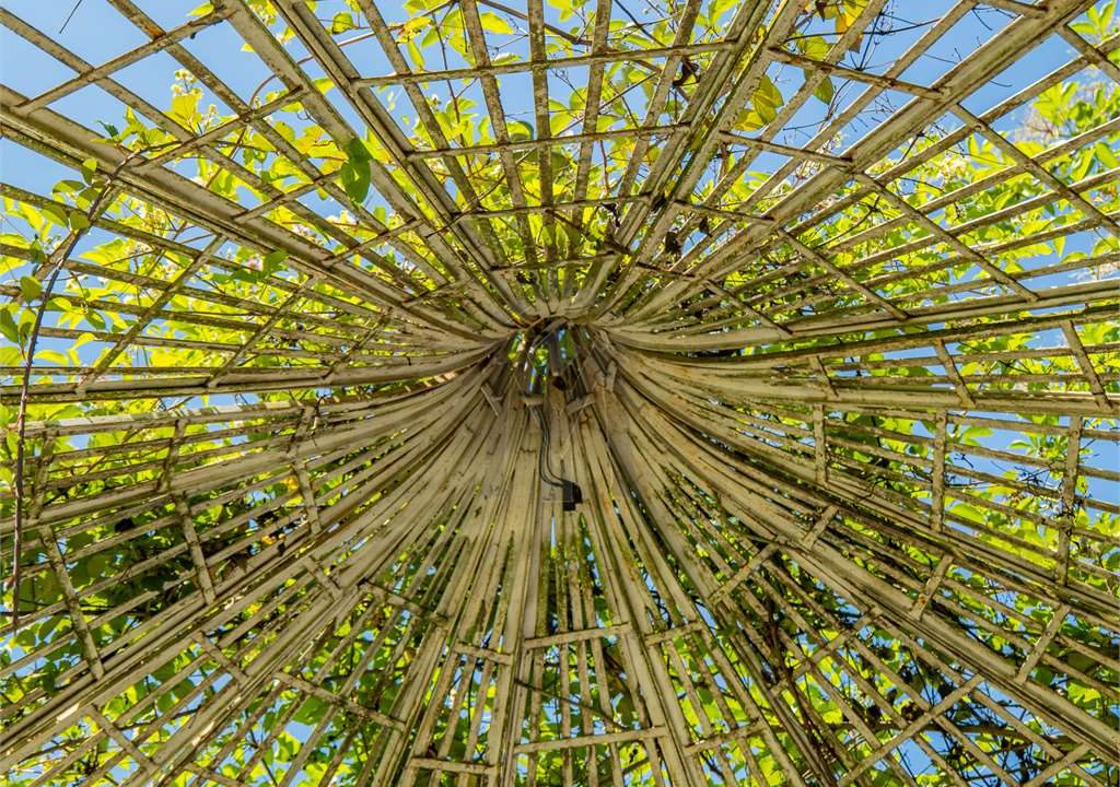 imm_45632-20251009111833-1280