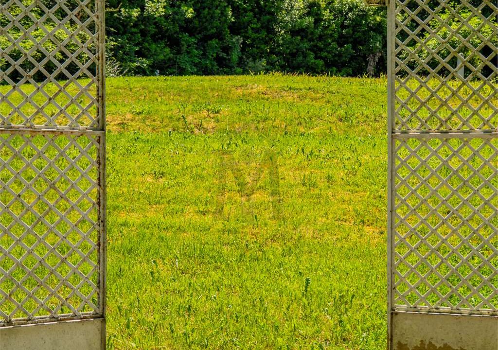 imm_45633-20251009111912-1280