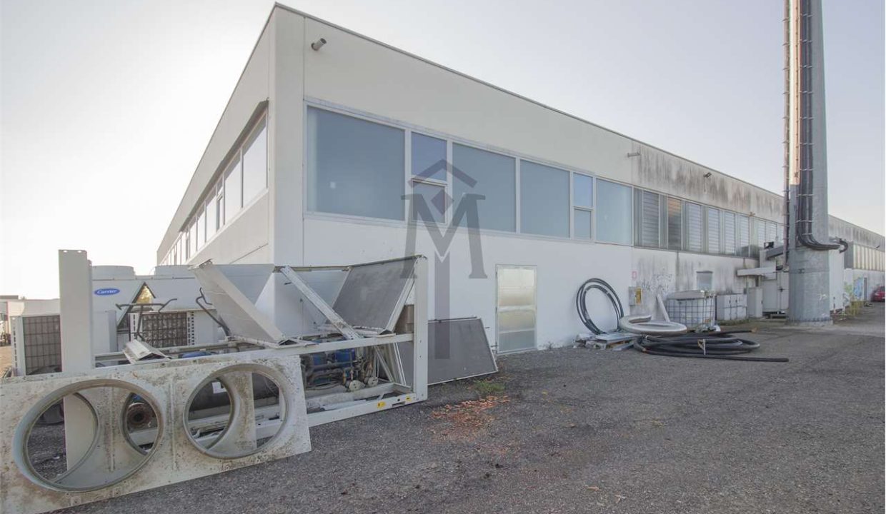 imm_45696-20251009163004-1280-