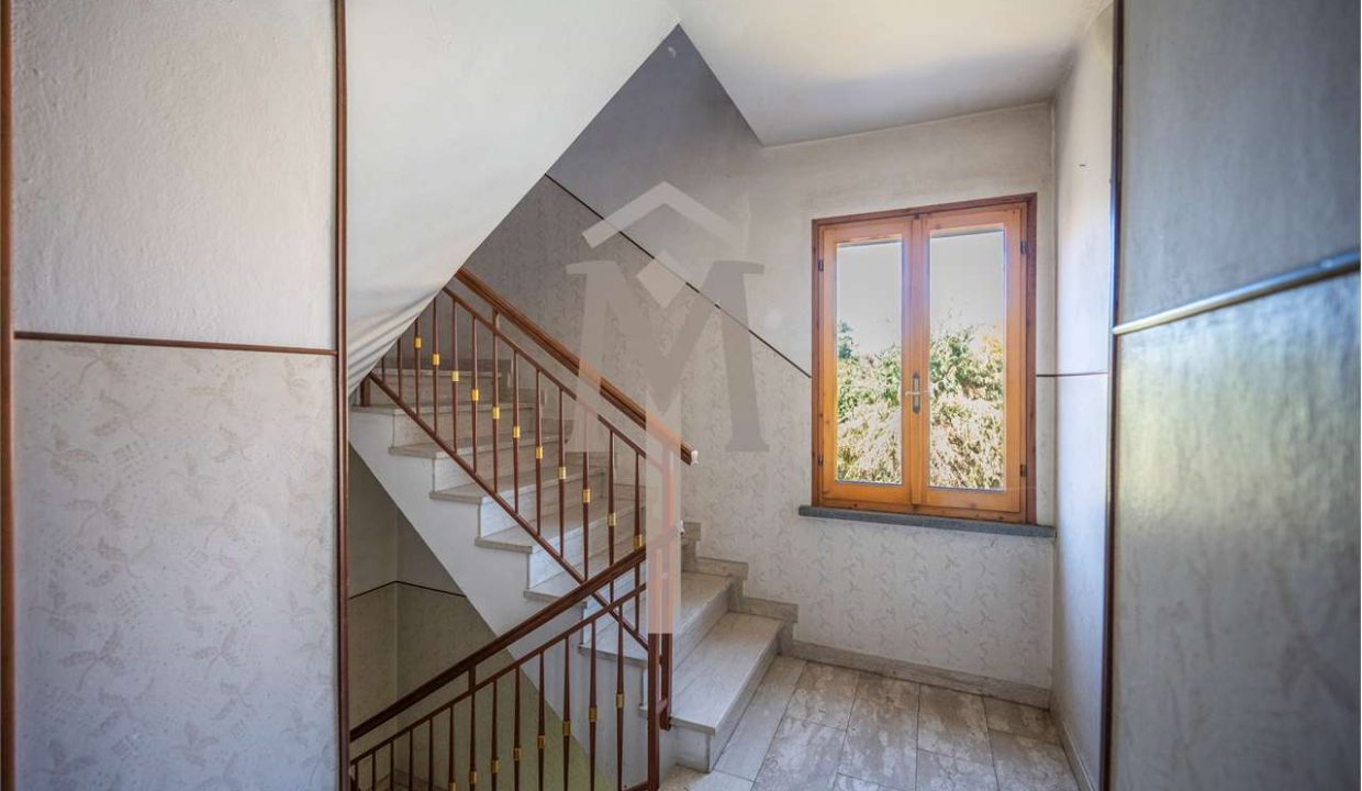 imm_46248-20251104093534-1280-