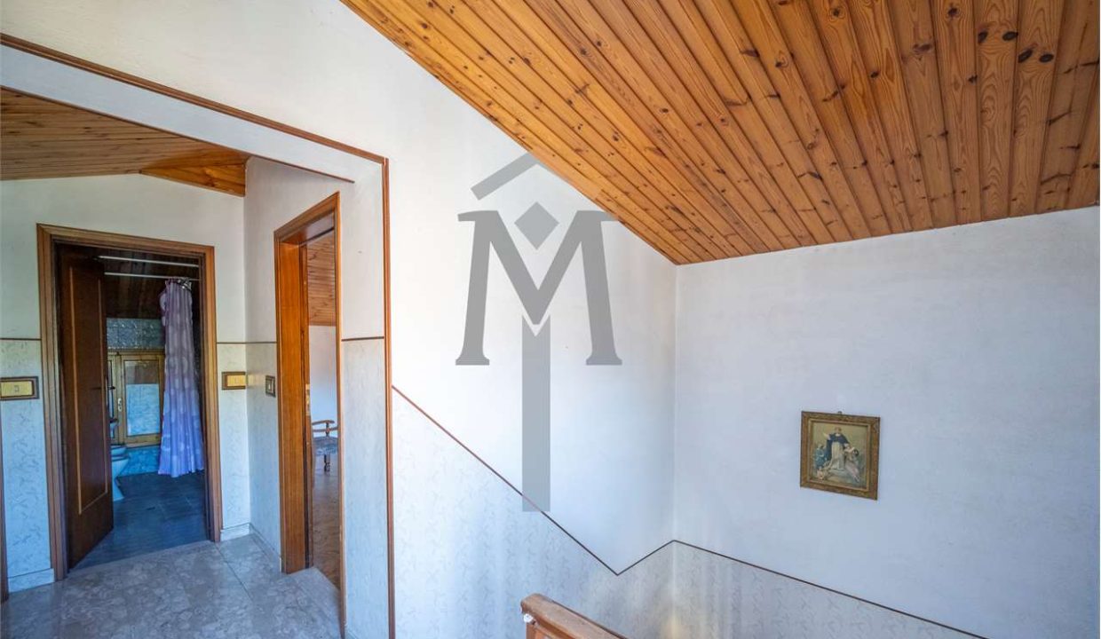 imm_46257-20251104093600-1280-