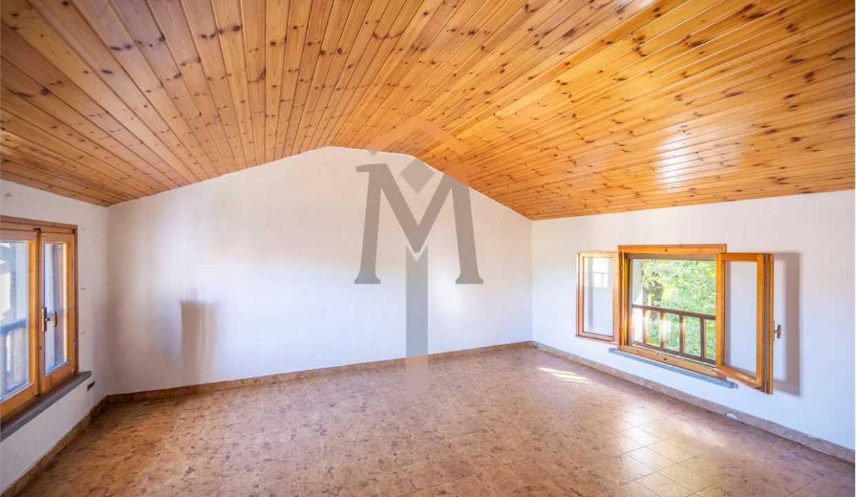 imm_46260-20251104093612-1280-