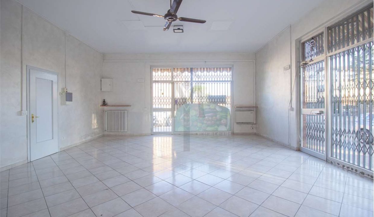 imm_46335-20251105152903-1280-