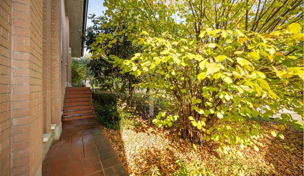 imm_46525-20251118163152-1280-