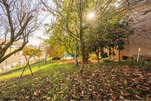 imm_46527-20251118163400-1280-