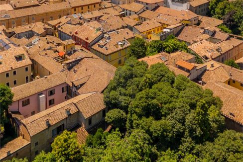 imm_36239-20240718105418-1280