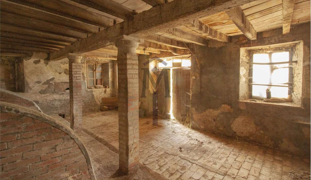 imm_37216-20240829161627-1280-