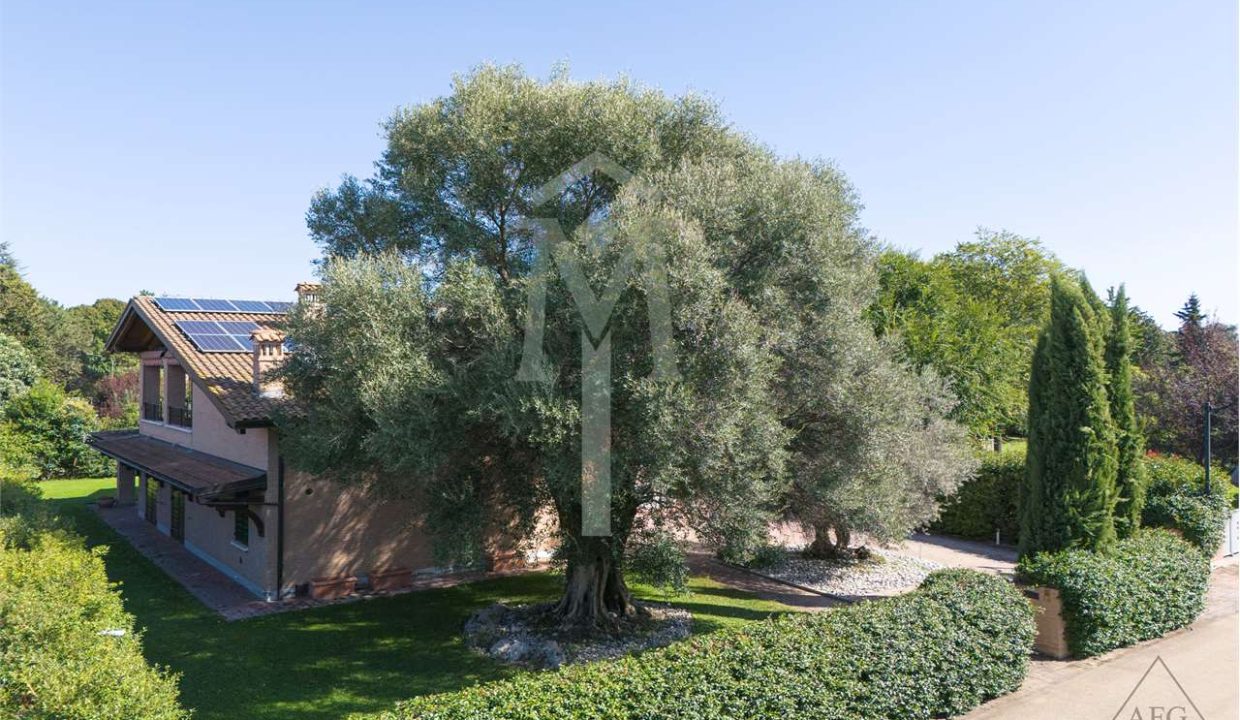 imm_37497-20251013103208-1280-